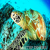 ���Ԗ����́A�́`��т�߂����铇�I3�{�[�g�����Ă��܂��܂��̂�с`��B