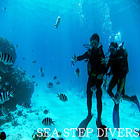 �_�C�r���O�́A�y����ł��������I�����̃X�^�C���ŁO�O�����D���I���n�D���I�h���b�v�D���I